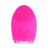 Electric Vibrating Exfoliator